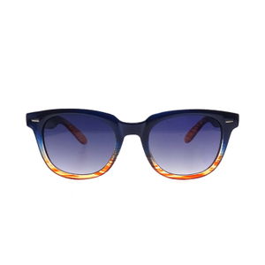 Gafas de sol polarizadas unisex cuadradas de plástico vintage de moda LS-P495