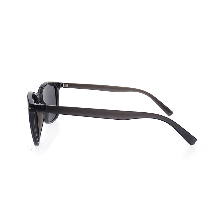 Gafas de sol cuadradas grandes más vendidas en Internet Moda Gafas de sol de PC de gama alta LS-P656